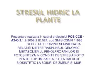 Stresul hidric la plante