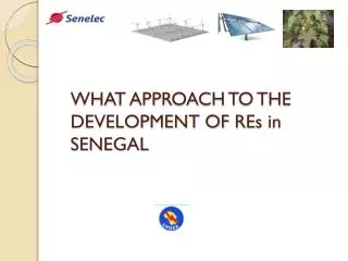 WHAT APPROACH TO THE DEVELOPMENT OF REs in SENEGAL