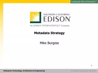 Metadata Strategy Mike Burgess
