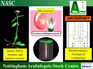Nottingham Arabidopsis Stock Centre