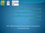 Занятость молодежи Петрозаводска с учетом новой экономической ситуации - slide 1