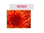 স্বাগতম - slide 1