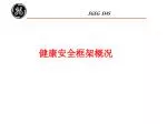 健康安全框架概况 - slide 1