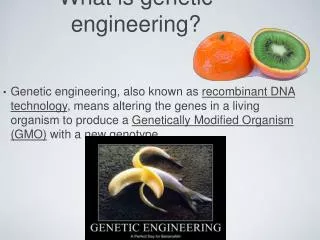 What is genetic engineering?