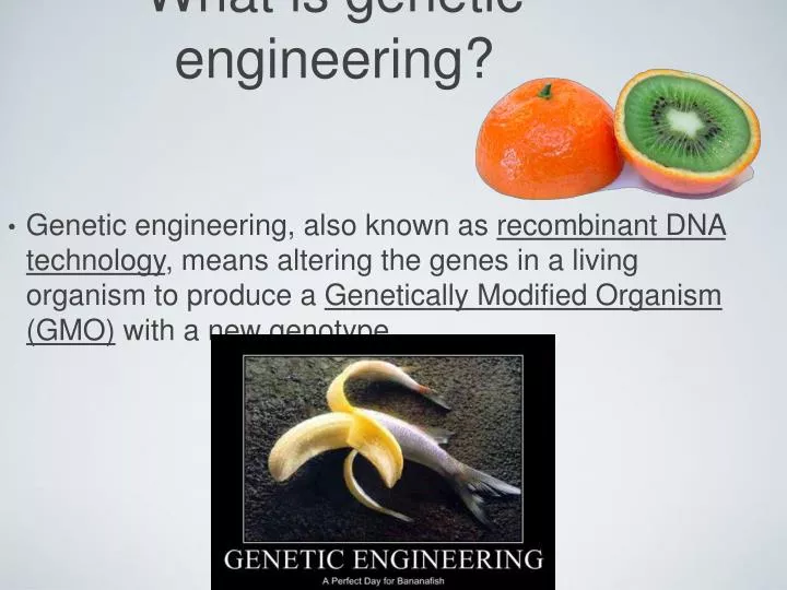 PPT What Is Genetic Engineering PowerPoint Presentation Free 