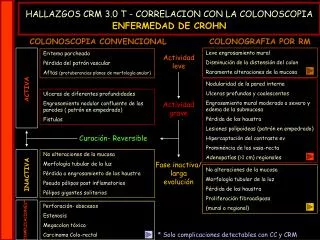 Eritema parcheado Pérdida del patrón vascular Aftas (protuberancias planas de morfología anular)