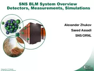SNS BLM System Overview Detectors, Measurements, Simulations