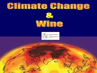Climate Change &amp; Wine