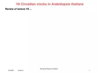 V6 Circadian clocks in Arabidopsis thaliana