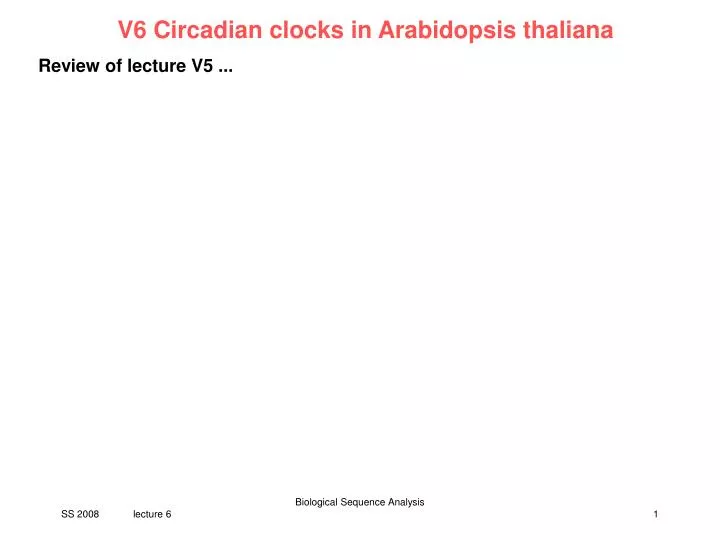 v6 circadian clocks in arabidopsis thaliana