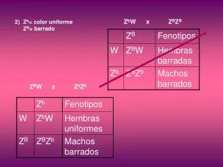 Z b = color uniforme 	Z B = barrado