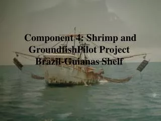 Component 4: Shrimp and GroundfishPilot Project Brazil-Guianas Shelf