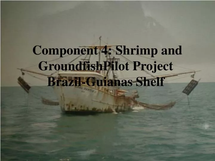 component 4 shrimp and groundfishpilot project brazil guianas shelf
