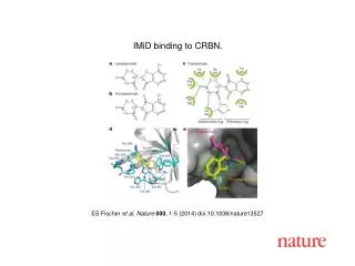 ES Fischer et al. Nature 000 , 1-5 (2014) doi:10.1038/nature13527