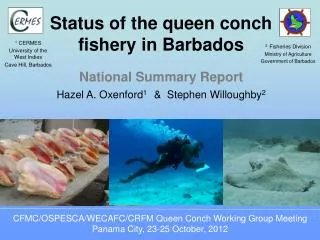 Status of the queen conch fishery in Barbados
