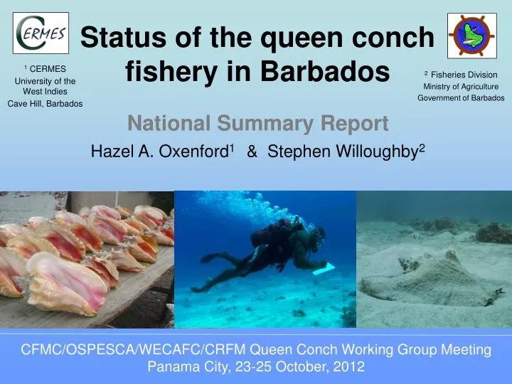 status of the queen conch fishery in barbados