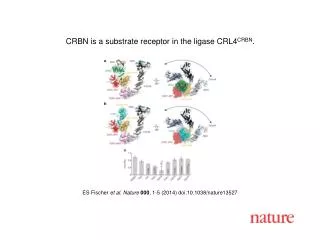 ES Fischer et al. Nature 000 , 1-5 (2014) doi:10.1038/nature13527