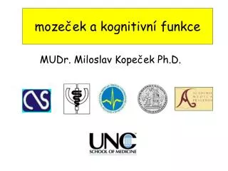 moze ek a kognitivn funkce