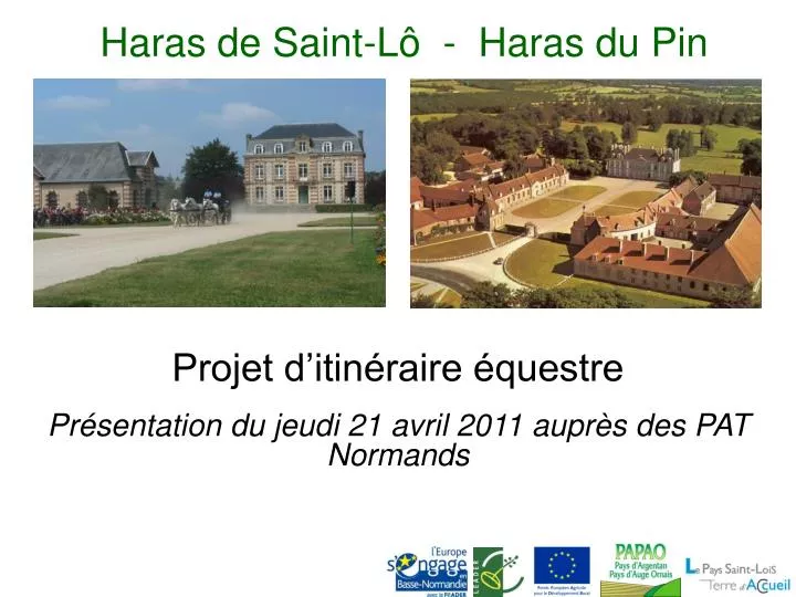 haras de saint l haras du pin