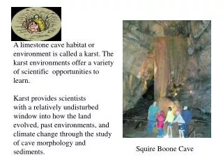 Squire Boone Cave