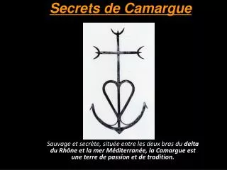 secrets de camargue