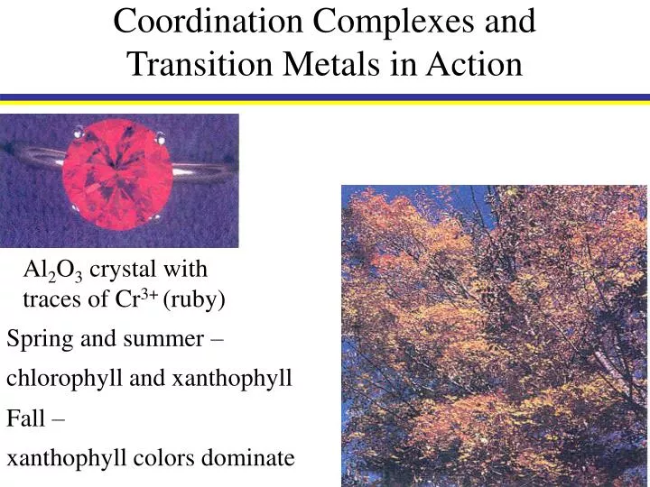 coordination complexes and transition metals in action