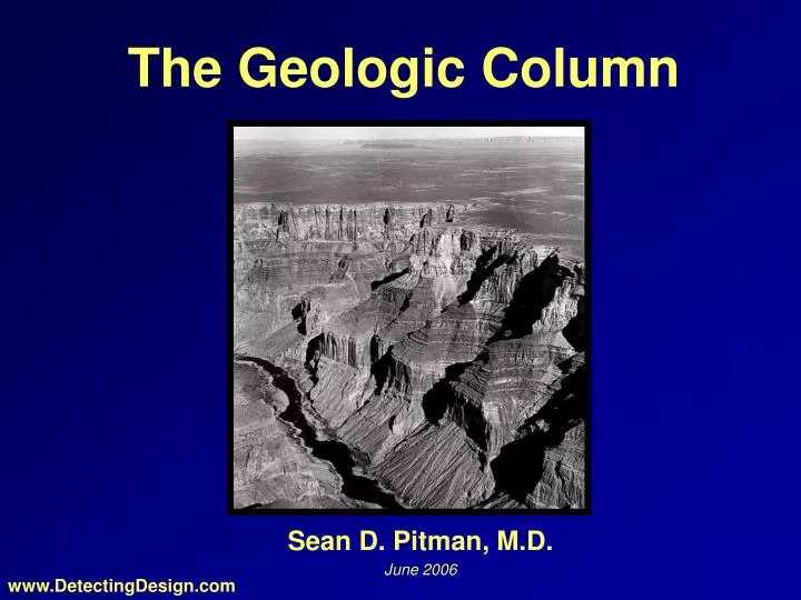 the geologic column