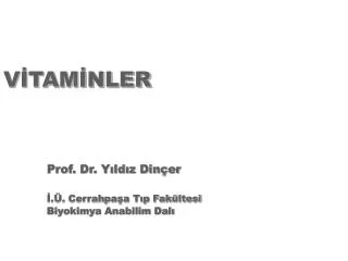 v tam nler