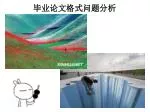 毕业论文格式问题分析 - slide 1