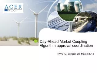 Day-Ahead Market Coupling Algorithm approval coordination