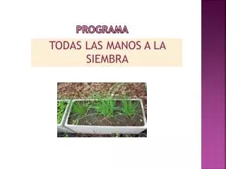 programa
