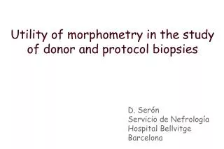 Utility of morphometry in the study of donor and protocol biopsies