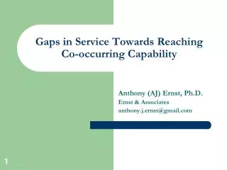 Gaps in Service Towards Reaching Co-occurring Capability