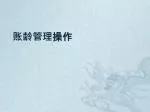 账龄管理 操 作 - slide 1
