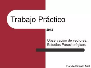 trabajo pr ctico