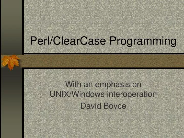 perl clearcase programming