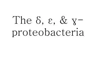 The ?, ?, &amp; ?-proteobacteria