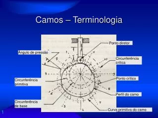 camos terminologia