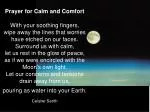 Moonlit Prayer for Serene Comfort - slide 1