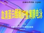 血清蛋白醋酸纤维薄膜电泳 - slide 1
