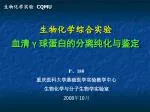 生物化学综合实验 血清 γ 球蛋白的分离纯化与鉴定 - slide 1