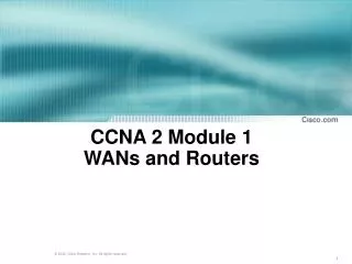 CCNA 2 Module 1 WANs and Routers