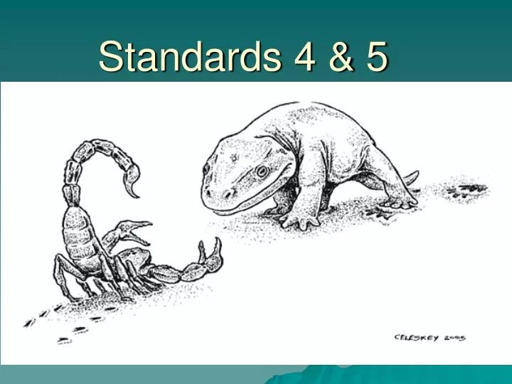 standards 4 5