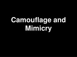 Camouflage and Mimicry