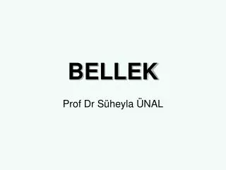 bellek