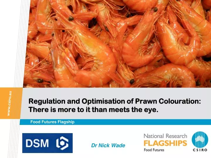 regulation and optimisation of prawn colouration there is more to it than meets the eye
