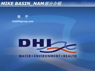 mike basin nam