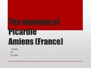 The museum of Picardie Amiens (France)