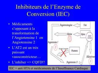 inhibiteurs de l enzyme de conversion iec