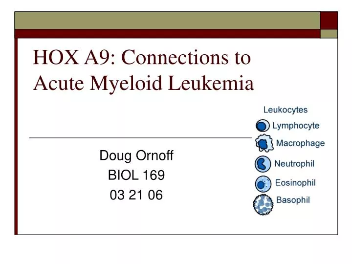 hox a9 connections to acute myeloid leukemia